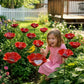 GardenBird™ Flower-Shaped Bird Bath