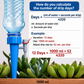 HolidayWater™ Automatic Plant Watering Spike – Use a Bottle and Keep Plants Fresh for Up to 2 Weeks