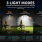 SolarLight Pro – Outdoor LED Wall Light with Motion Sensor