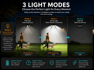 SolarLight Pro – Outdoor LED Wall Light with Motion Sensor
