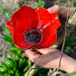 GardenBird™ Flower-Shaped Bird Bath