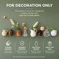 MagnetVase™ – Mini Flower Vase for the Fridge