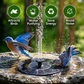 SolarFountain™ Solar-Powered Fountain Pump for Pond and Bird Bath