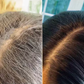Nova Color Shampoo 100% Free of Ammonia, Hydrogen Peroxide and PPD