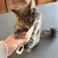 HappyPaw™ Pet Trimmer