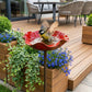 GardenBird™ Flower-Shaped Bird Bath