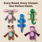 ChewBuddy™ | Ready for Endless Play