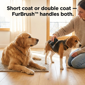 FurBrush™ | The Ultimate Dog Brush Against Shedding and Fleas