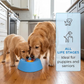 CalmAmber™ | The Snack Ball Dogs Love – and That Brings Calm at Home