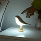 Zenbird™ | A lamp that brings nature, light and calmness into your home